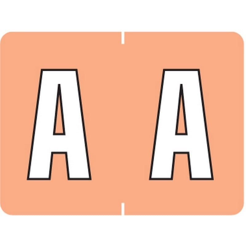 Data File Compatible "A" Labels, Laminated Stock, 15/16" X 1-1/4" Individual Letters - Pack of 256