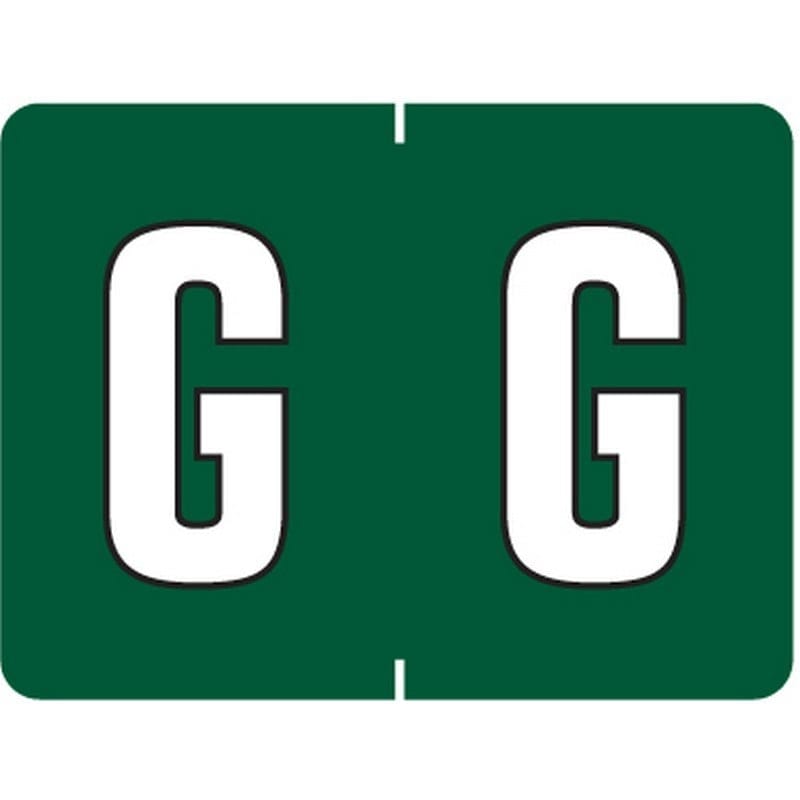 Data File Compatible "G" Labels, Laminated Stock, 15/16" X 1-1/4" Individual Letters - Pack of 256