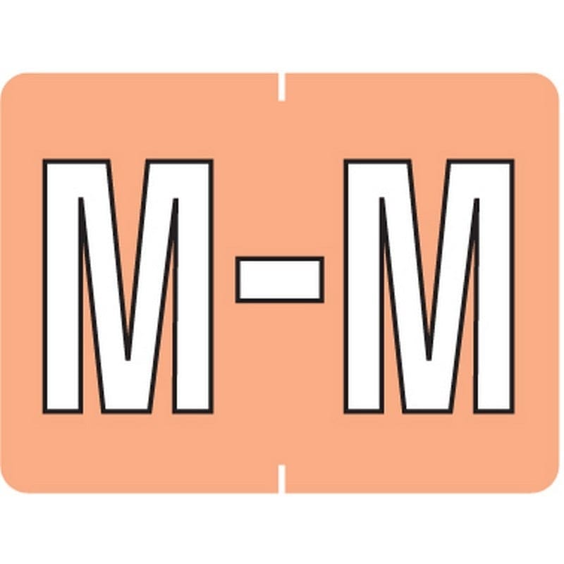 Data File Compatible "M" Labels, Laminated Stock, 15/16" X 1-1/4" Individual Letters - Pack of 256
