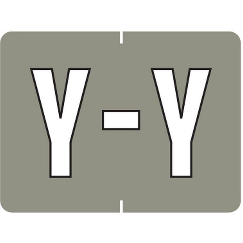 Data File Compatible "Y" Labels, Laminated Stock, 15/16" X 1-1/4" Individual Letters - Pack of 256