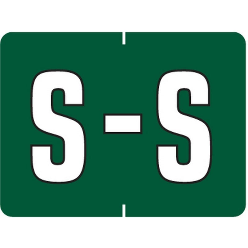 Data File Compatible "S" Labels, Laminated Stock, 15/16" X 1-1/4" Individual Letters - Roll of 500
