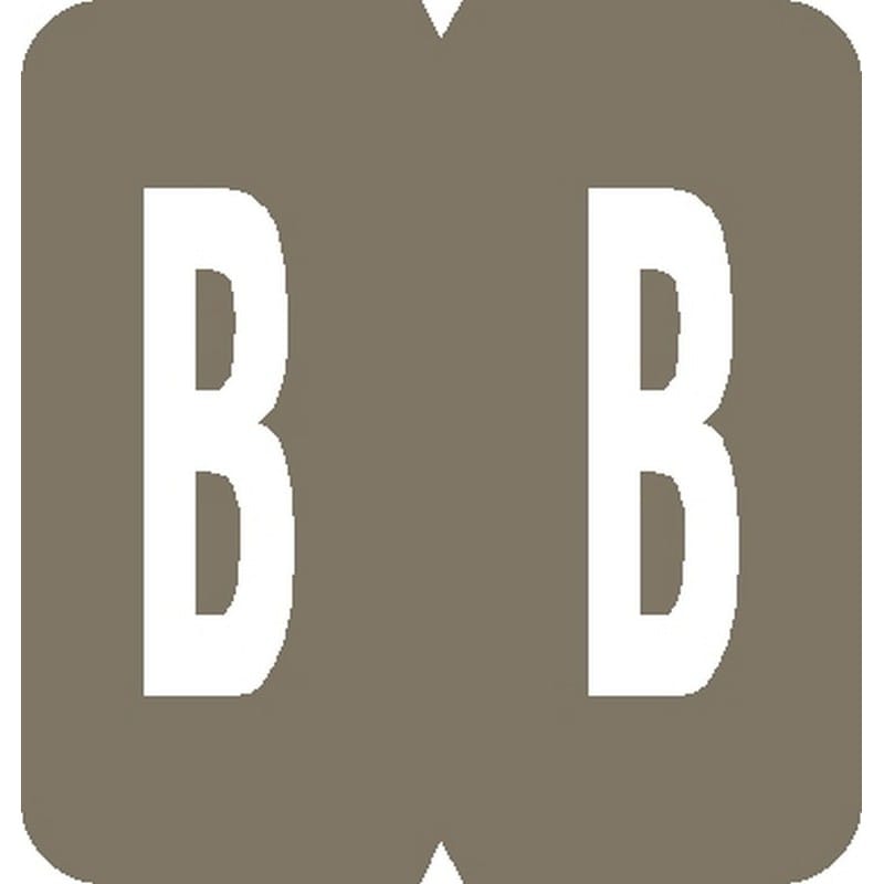GBS Compatible "B" Labels, Laminated Stock, 1-5/16" X 1-1/4" Individual Letters - Rolls of 550
