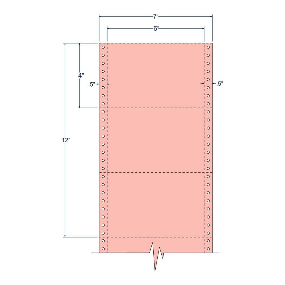 6" x 4" Salmon pinfeed Post Cards, Perfed (4,000 Cards per Carton)