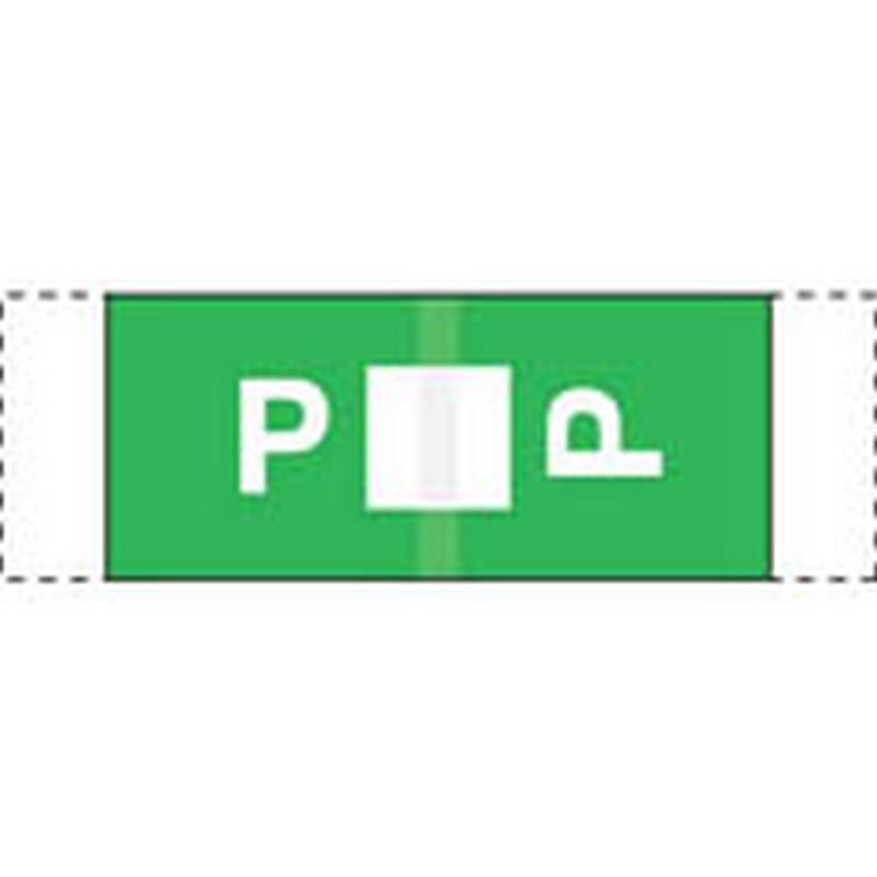 Col R Tab Compatible "P" Labels, Polylaminated Stock, 1/2 " X 1-1/2" Individual Letters - 100 per Pack