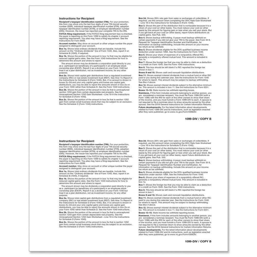 TFP 1099-DIV Recipient Copy B - Pack of 100 - Image 2