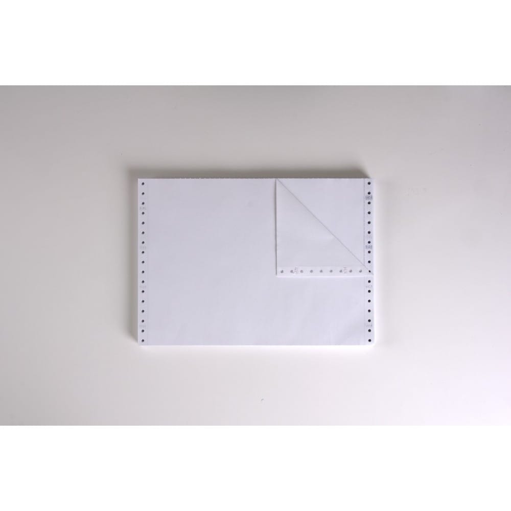 2-Ply Carbonless Paper, Blank, Form Size 12" x 8-1/2" (W x H) (Carton of 1400) - Image 2