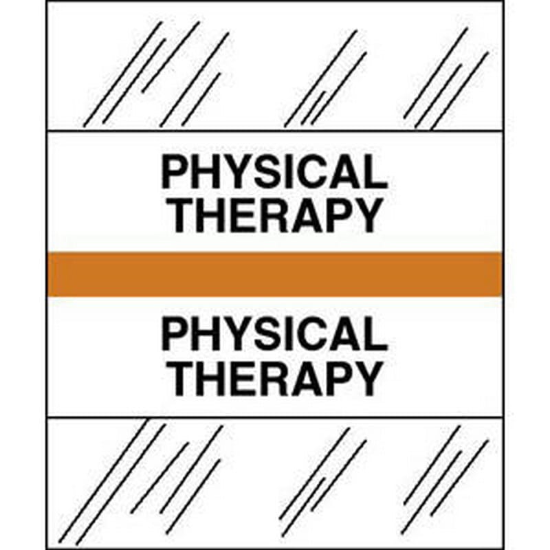 Physical Therapy Chart Divider Tabs, 1-1/4" x 1/2", Orange (Pack of 100)