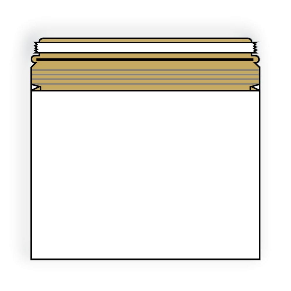 Open End No Bend Mailer Envelopes, 9-1/2"x 12-1/2", .020#, White, 100% Recycled, 1" Expansion, Tear Strip (Box of 100)