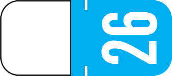 Tab Products Compatible "26" Yearband Labels, Vinyl Stock. 1-1/8" x 1/2" - Roll of 500