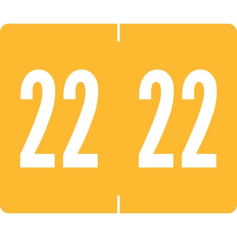 Tab Products Compatible "22" Yearband Labels, Vinyl Stock. 1" x 1-1/4" - Roll of 500