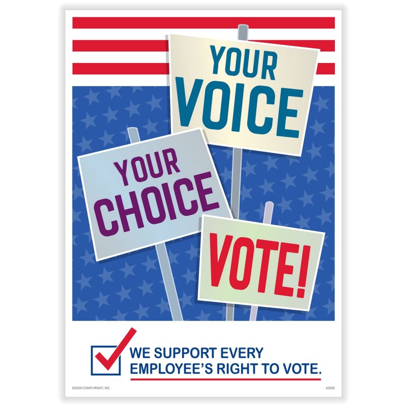 Your Voice, Your Choice, Vote Poster, 10" x 14" (Pack of 1)