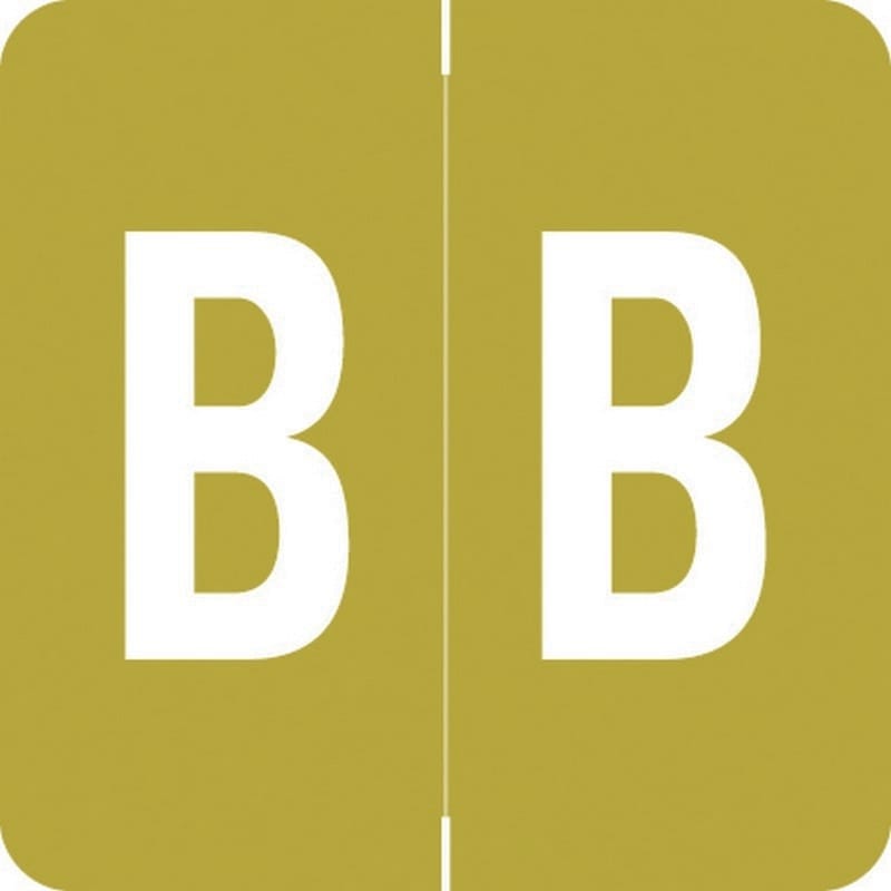 Barkley ADPK Compatible "B" Labels, Laminated Stock, 1-1/2" X 1-1/2" Individual Letters - Pack of 228