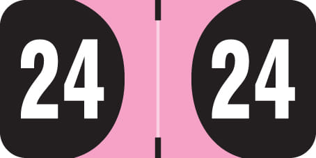 Arden Compatible "24" Yearband Labels, Laminated Stock. 3/4" X 1-1/2" - Roll of 500