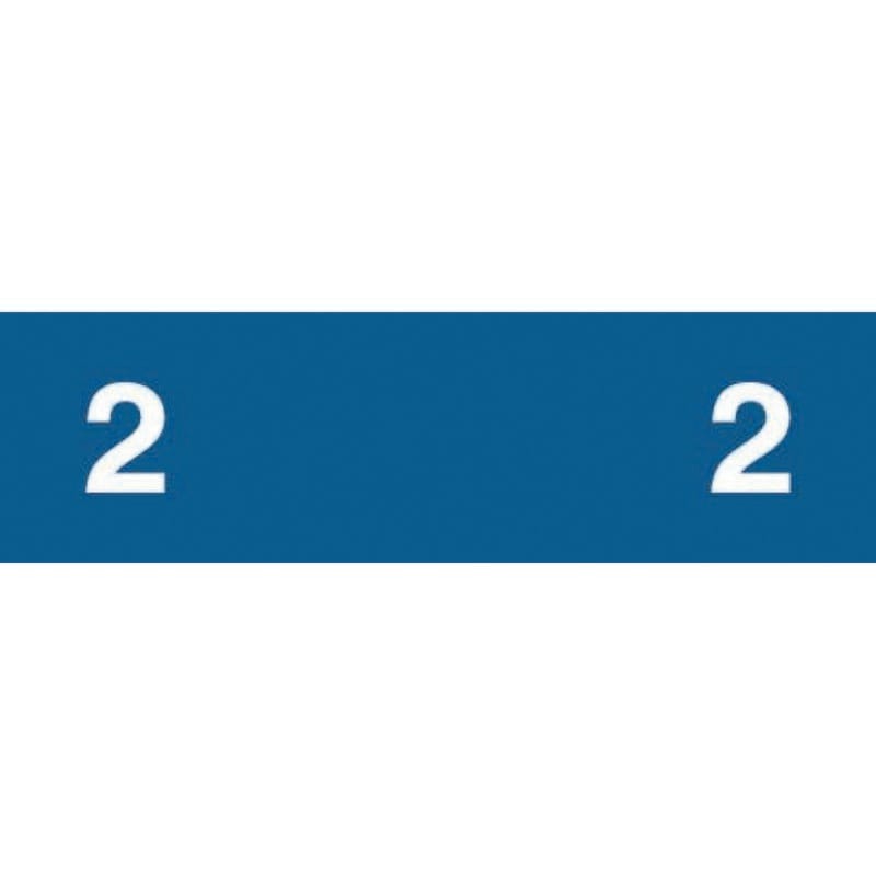Ames Compatible "2" Numeric Labels, Laminated Stock, 1/2" x 1-3/4" Individual Numbers - Roll of 1000