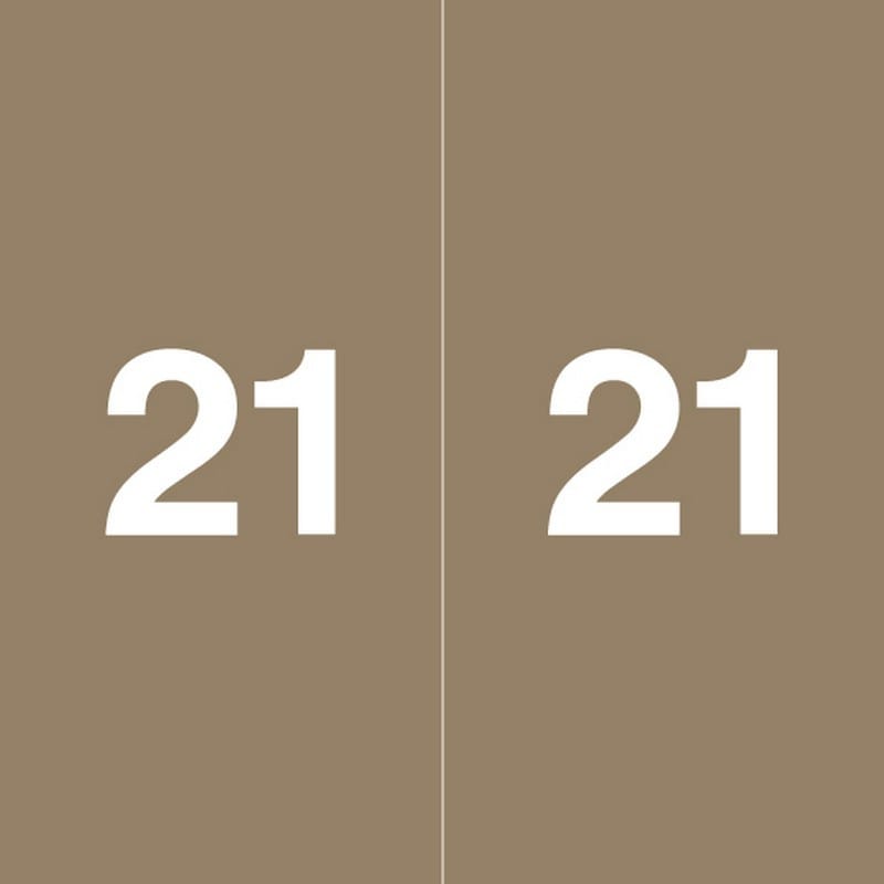 Ames Compatible "21" Yearband Labels, 1-7/8" X 1-7/8" Roll of 500
