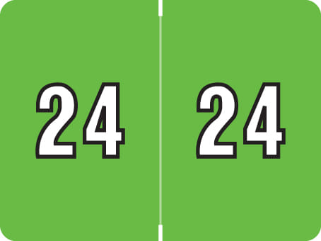 Datafile Compatible "24" Yearband Labels, Laminated Stock. 1-1/4" x 15/16 - 500 per Roll