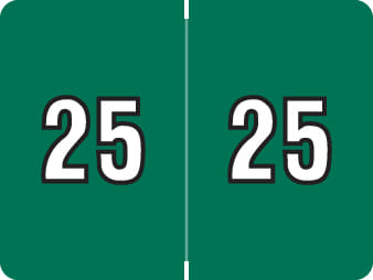 Datafile Compatible "25" Yearband Labels, Laminated Stock. 1-1/4" x 15/16 - 500 per Roll