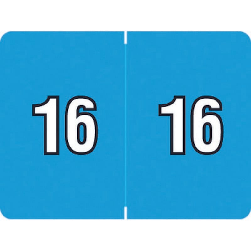 Datafile Compatible Yearband Labels, Laminated stock, 1-1/4" X 15/16" - 500 per Roll