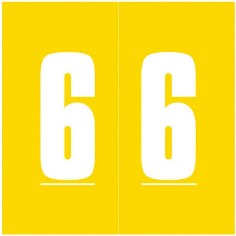 Ames Compatible "6" Numeric Labels, Laminated Stock, 1-7/8" X 1-7/8" Individual Numbers - Roll of 1000