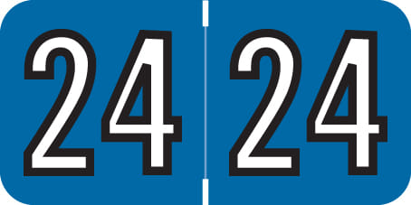 Amerifile Compatible "24" Yearband Labels, 1-1/2" X 3/4" - 500 per Roll