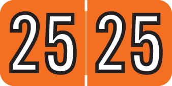Amerifile Compatible "25" Yearband Labels, 1-1/2" X 3/4" - 500 per Roll