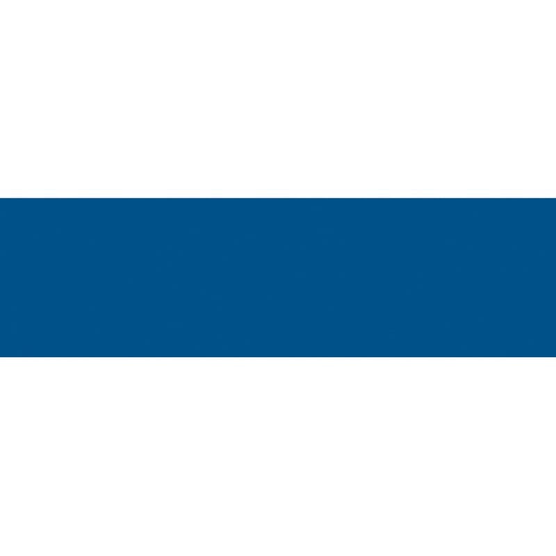 Ames Compatible Solid Blue Labels, Unlaminated Stock, 1-3/4" x 1/2" Individual Colors - Roll of 1000