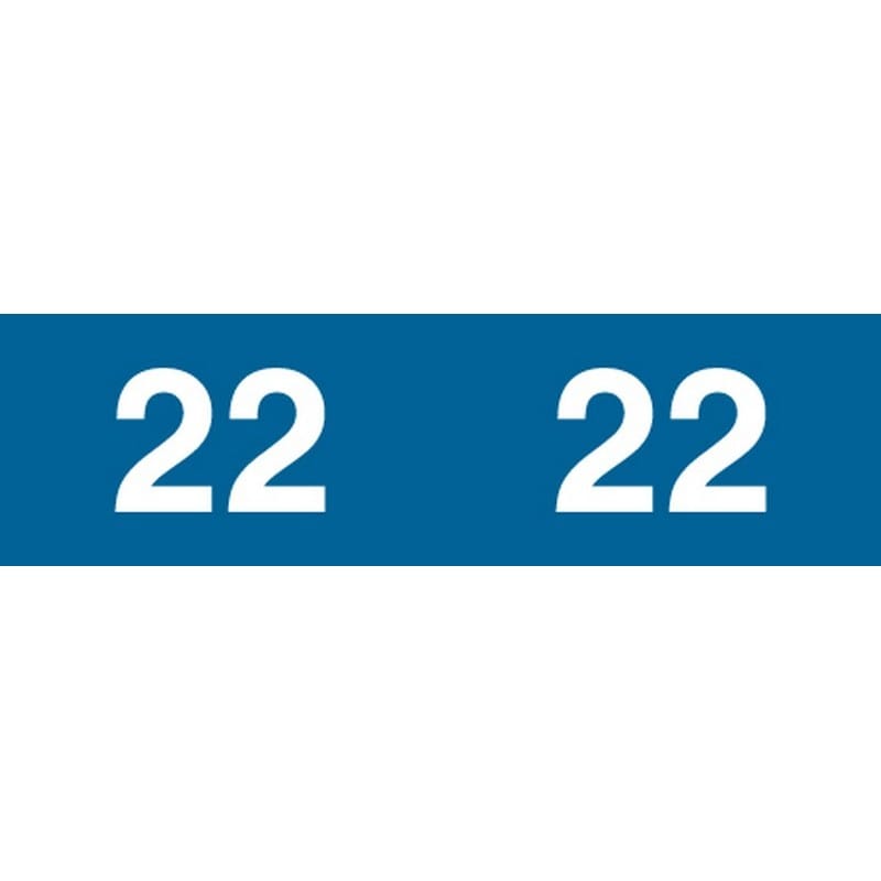Ames Compatible "22" Yearband Labels, Unlaminated Stock 1/2" X 1-3/4" - 1000 per Roll