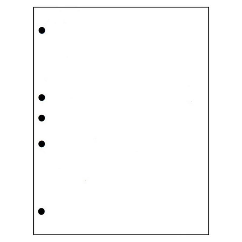 Hole Punched Paper
