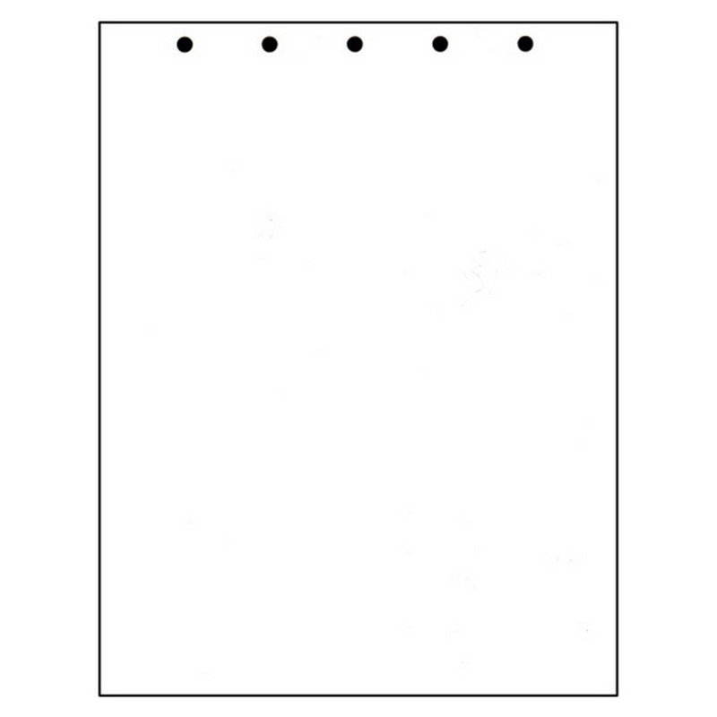 Perforated & Punched Paper