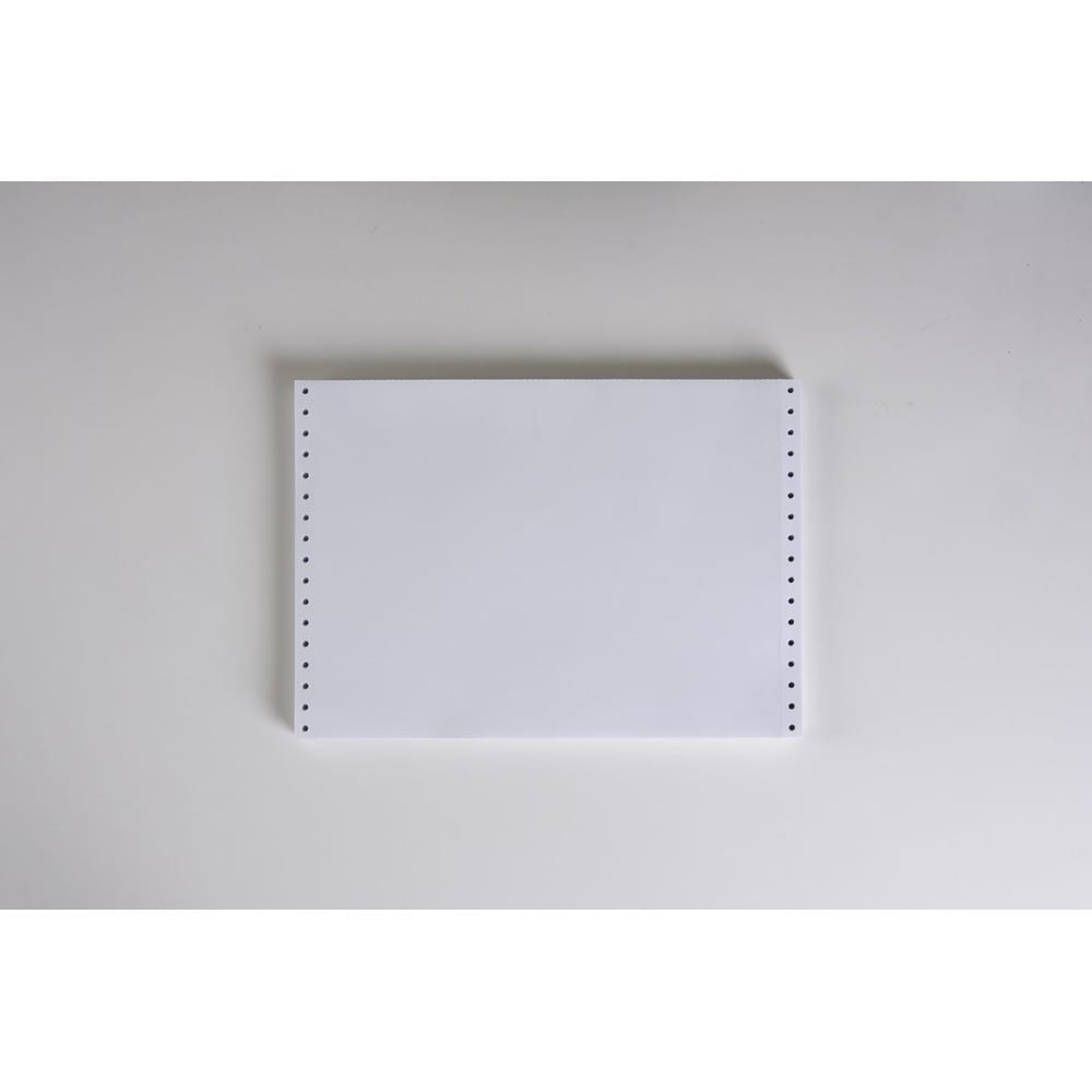 12" x 8-1/2" (W x H) Continuous 20# Computer Paper, Blank (Carton of 2400) - Image 2