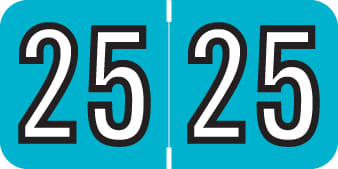 Barkley Compatible "25" Yearband Labels, Laminated Stock 1-1/2" x 3/4" - 500 per Roll