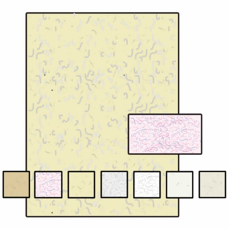 Business Card Stock, 8-1/2" x 11", 80#, Recycled, Fiber-Added, Acid Free, Smooth Imaging Finish, Sand (Box of 250) - Image 2