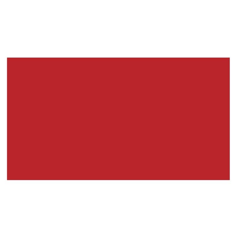 3" x 10" Standard Red Rectangle Labels (250 per Roll)