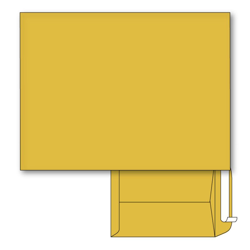 Catalog Envelopes, Brown Kraft, Peel & Seal, 28 lb. Size: 9" x 12". Qty. Box of 500