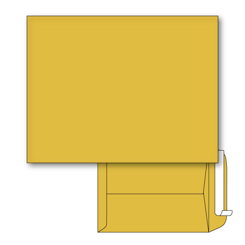 Catalog Envelopes, Brown Kraft, Peel & Seal, 28 lb. Size: 10" x 13". Qty. Box of 500