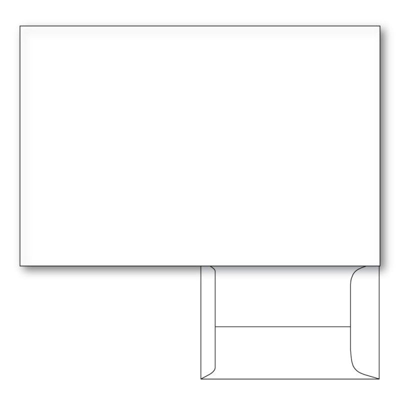 Catalog Envelopes, White Wove, 28 lb. Size: 6" x 9". Qty - 500 per box.