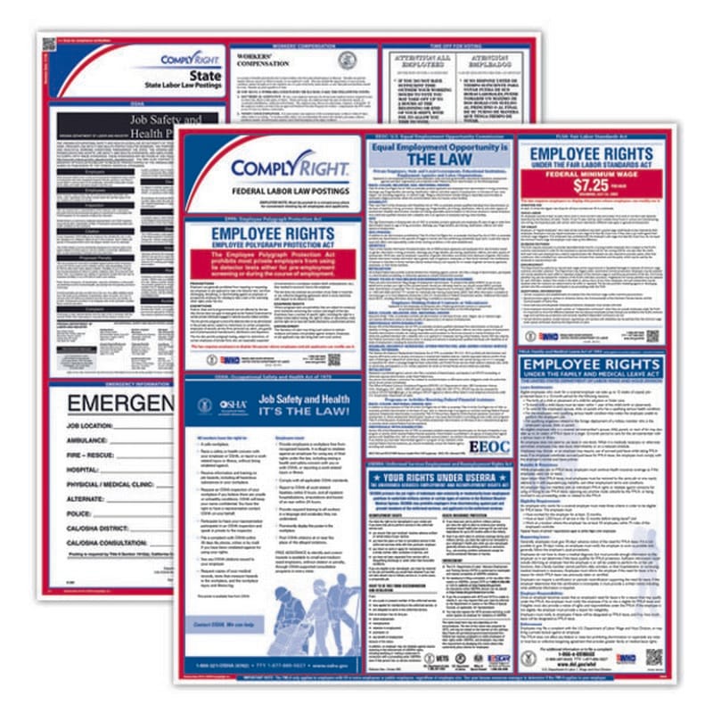 ComplyRight Fed/State Georgia Compliance Labor Law Poster Kit, Laminated, 24" x 27" - 1 set per pack