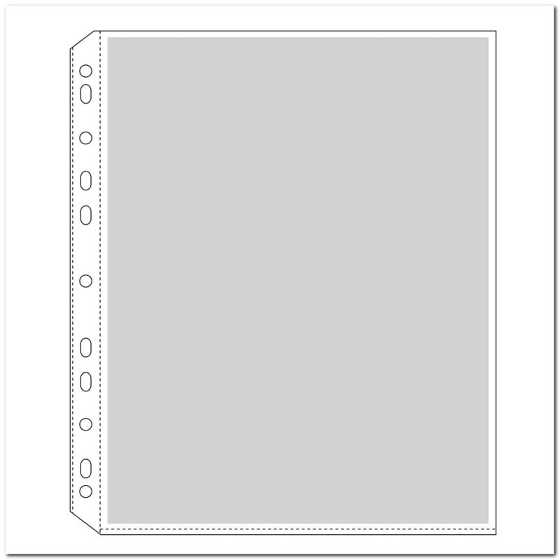 Poly Sheet Protectors (Pack of 100)
