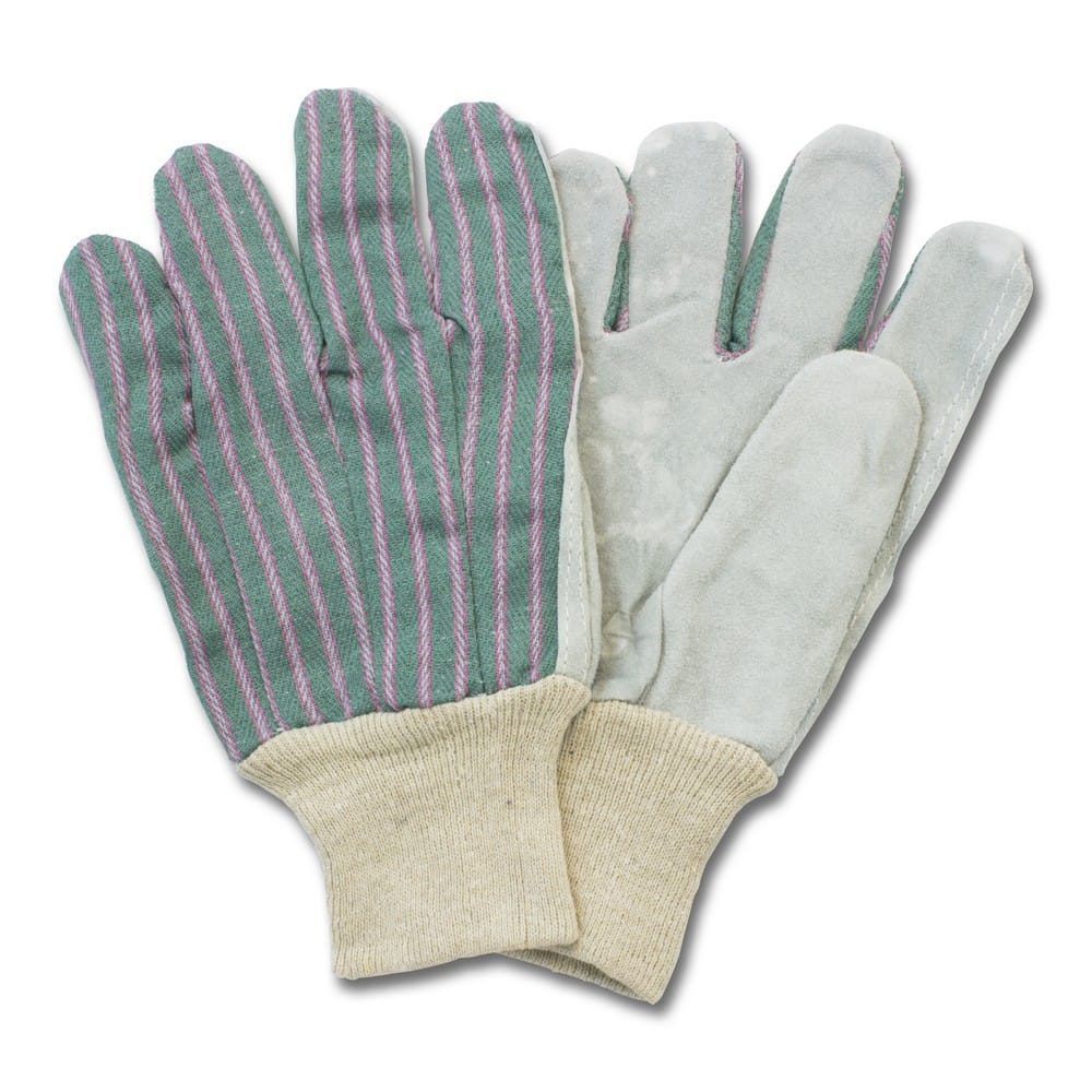 Women's, Clute Cut, green, Knit Wrist, Economy Grade Glove (1 Dozen)