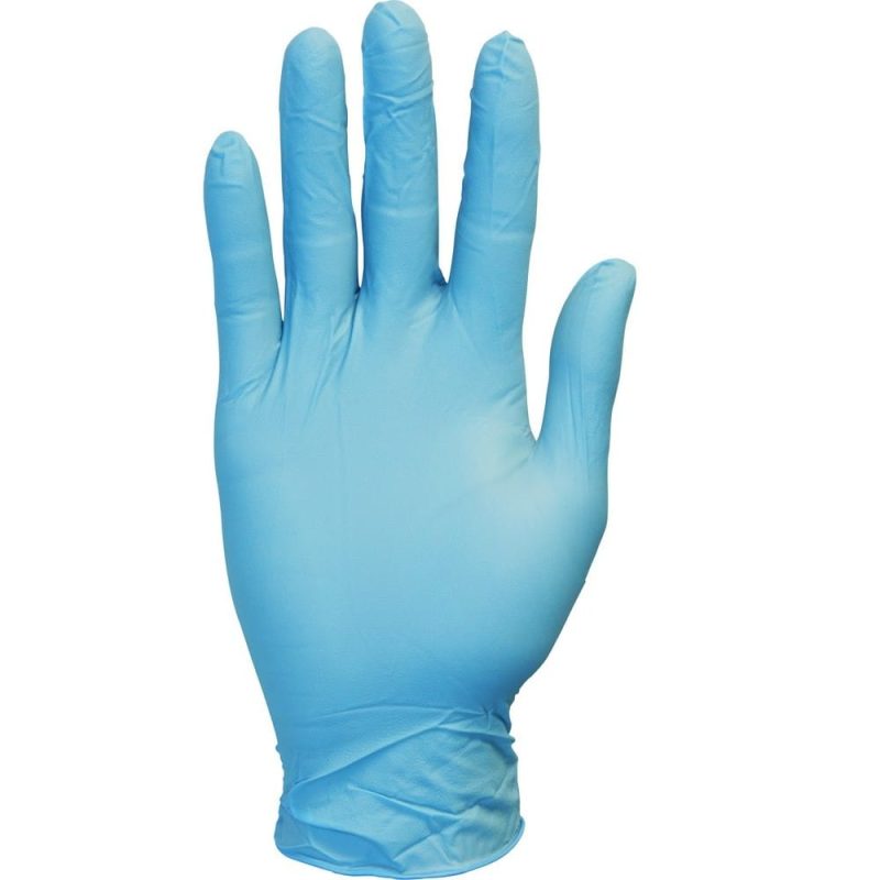 Small, Blue Synthetic Standard Powder Free Vinyl (100 per Box, 10 Boxes per Case)