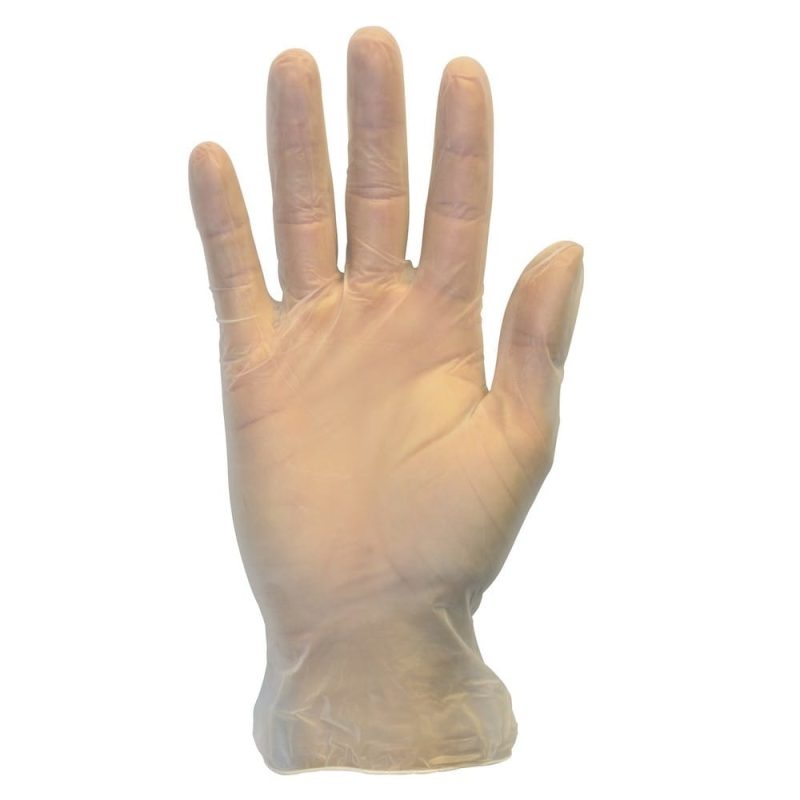Large, 5 Mil Vinyl Powder Free Exam Glove, (100 Per Box, 10 Per Case)