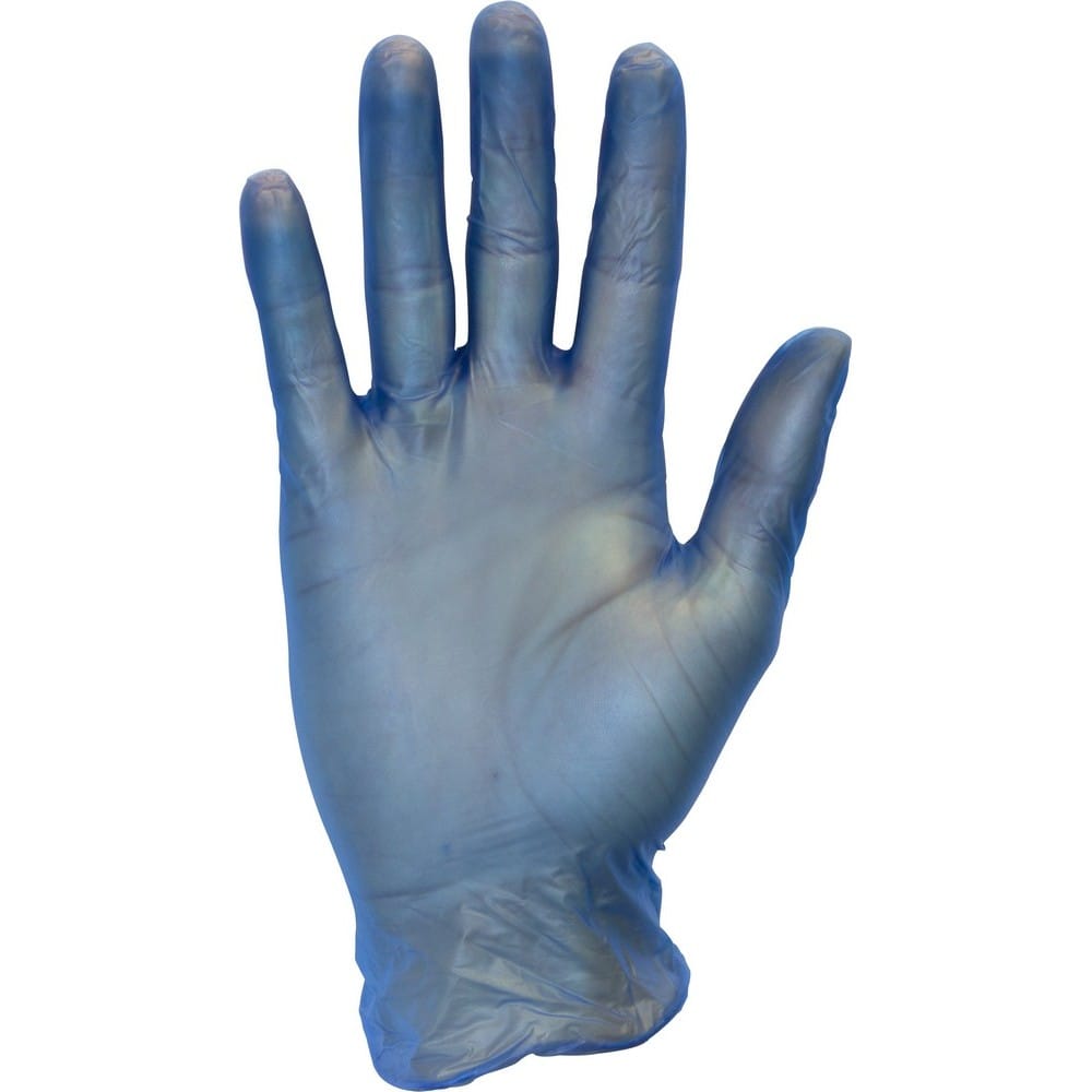 Large, Powder Free Blue, Vinyl Gloves, Non-Medical (100 Per Box, 10 Per Case)