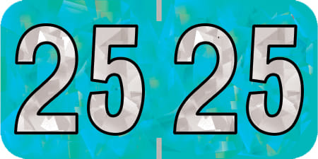 PMA Compatible "25" Yearband Labels, 1-1/2" X 3/4" - 500 per Roll