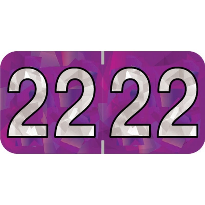 PMA Compatible "22" Yearband Labels, 1-1/2" X 3/4" - 500 per Roll