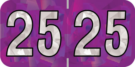 PMA Compatible "25" Yearband Labels, 1-1/2" X 3/4" - 500 per Roll