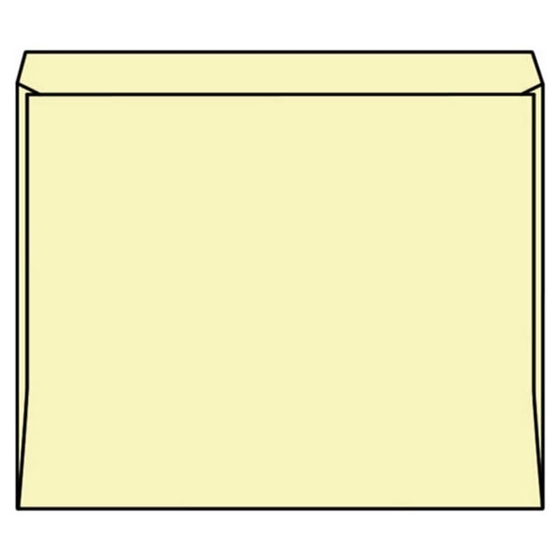 Open Side Employment Record Envelopes, 8-3/4" x 12", 100#, Manila Tag, Smooth Finish, 1/2" Extension (Box of 500)