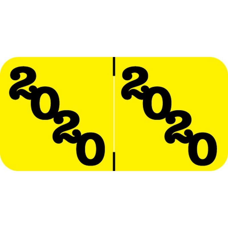 Jeter Proprietary Compatible "2020" Yearband Labels, 1-1/2" X 3/4" - 500 per Roll