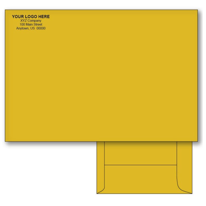 Custom Printed 6-1/2" x 9-1/2" Catalog Envelopes, Brown Kraft, 28 lb, Standard Flap (Box of 500)