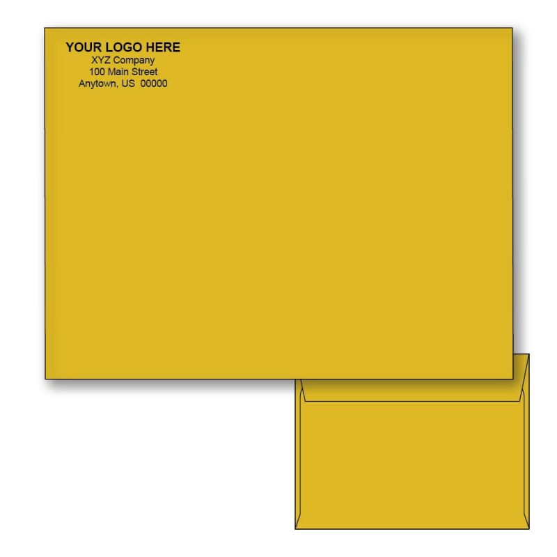 Custom Printed 9" x 12" Booklet Envelopes, Brown Kraft, 28 lb, Standard Flap (Box of 500)