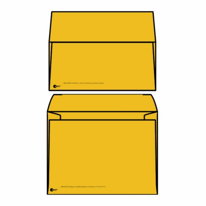 eKEY Multimedia Mailer Envelopes, 6" x 8" Roptex eKEY Multimedia Mailer, Outer Envelope with Open Side, CD / DVD Insert (Box of 500) - Image 2
